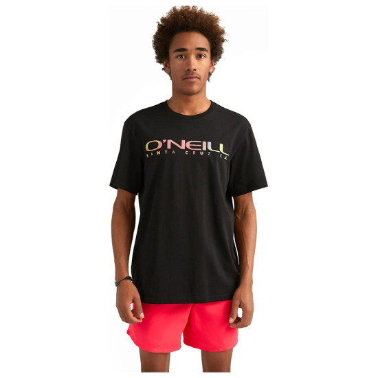 O'neill Ανδρική κοντομάνικη μπλούζα Sanborn T-Shirt